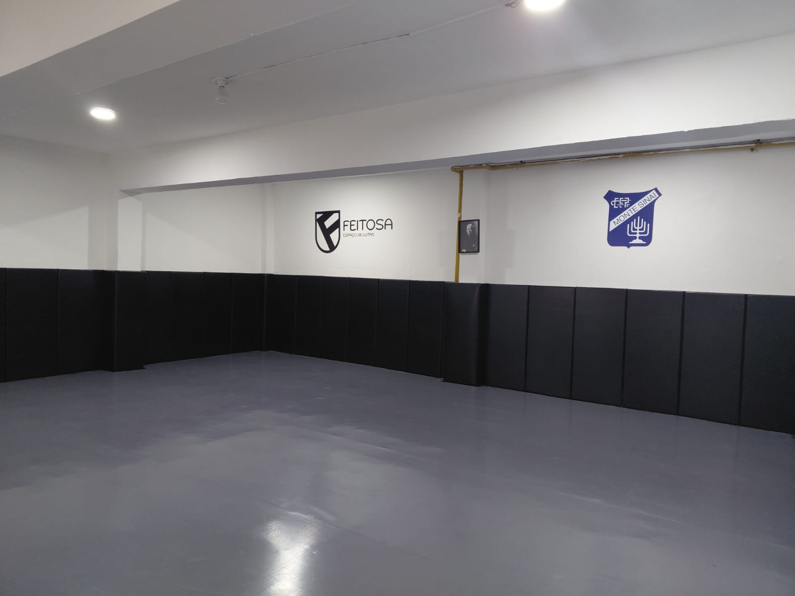 judo
